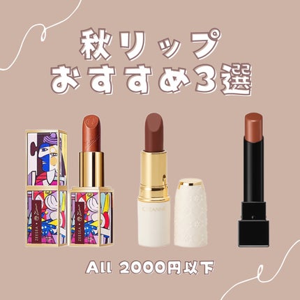 ラスティング リップカラーN/CEZANNE/口紅を使ったクチコミ(1枚目)