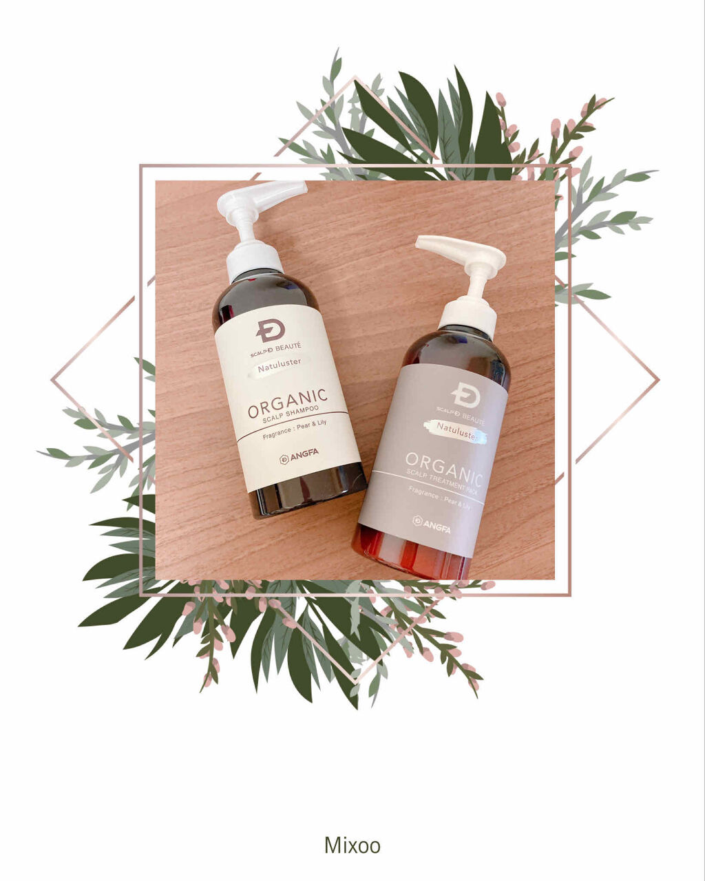 スカルプD ボーテ ナチュラスター スカルプシャンプー／トリートメントパック/アンファー(スカルプD)/シャンプー・コンディショナーを使ったクチコミ（1枚目）