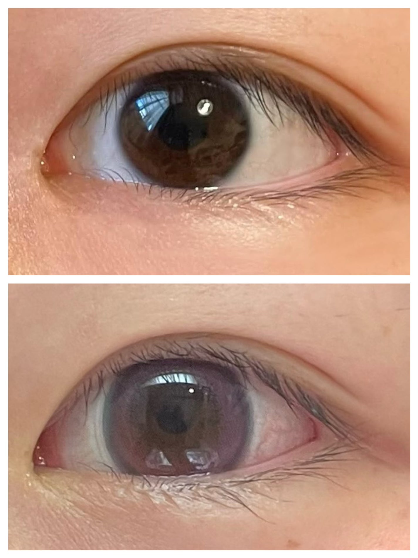 ワンデーリフレア リリバニー/Refrear/ワンデー(1DAY)カラコンを使ったクチコミ(2枚目)