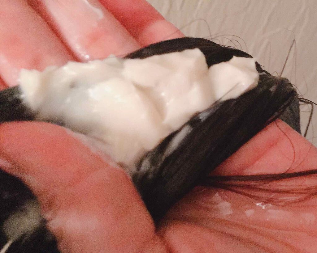 ディープモイスト シャンプー1.0／ヘアトリートメント2.0/&honey/市販シャンプーを使ったクチコミ（3枚目）