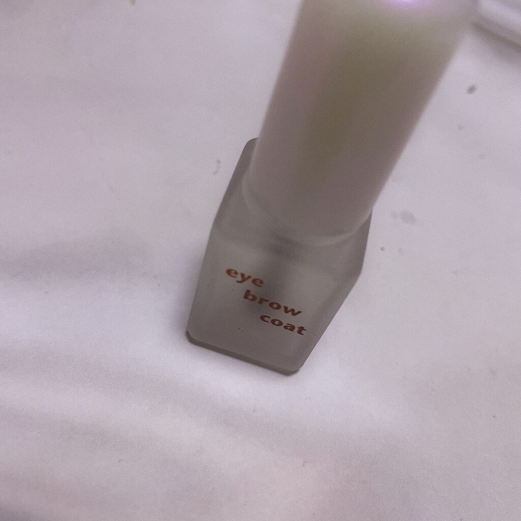 エバビレーナ アイブローコート/DAISO/アイブロウコートを使ったクチコミ(1枚目)