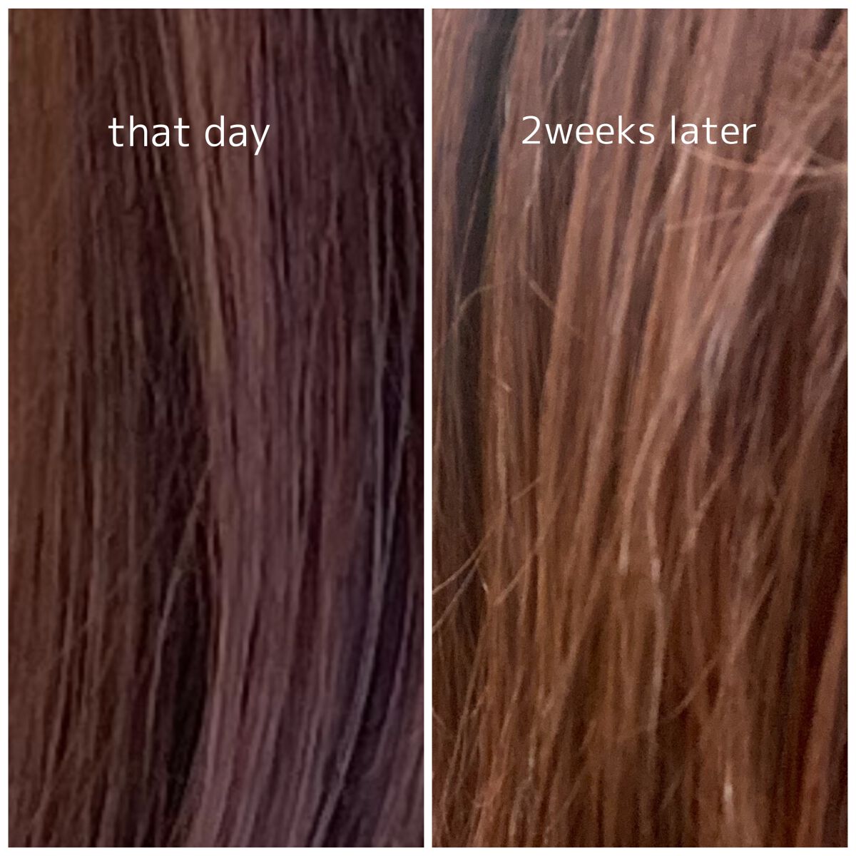 ミラクル シャイン シャンプー/ヘアトリートメント/&Prism/市販シャンプーを使ったクチコミ(2枚目)