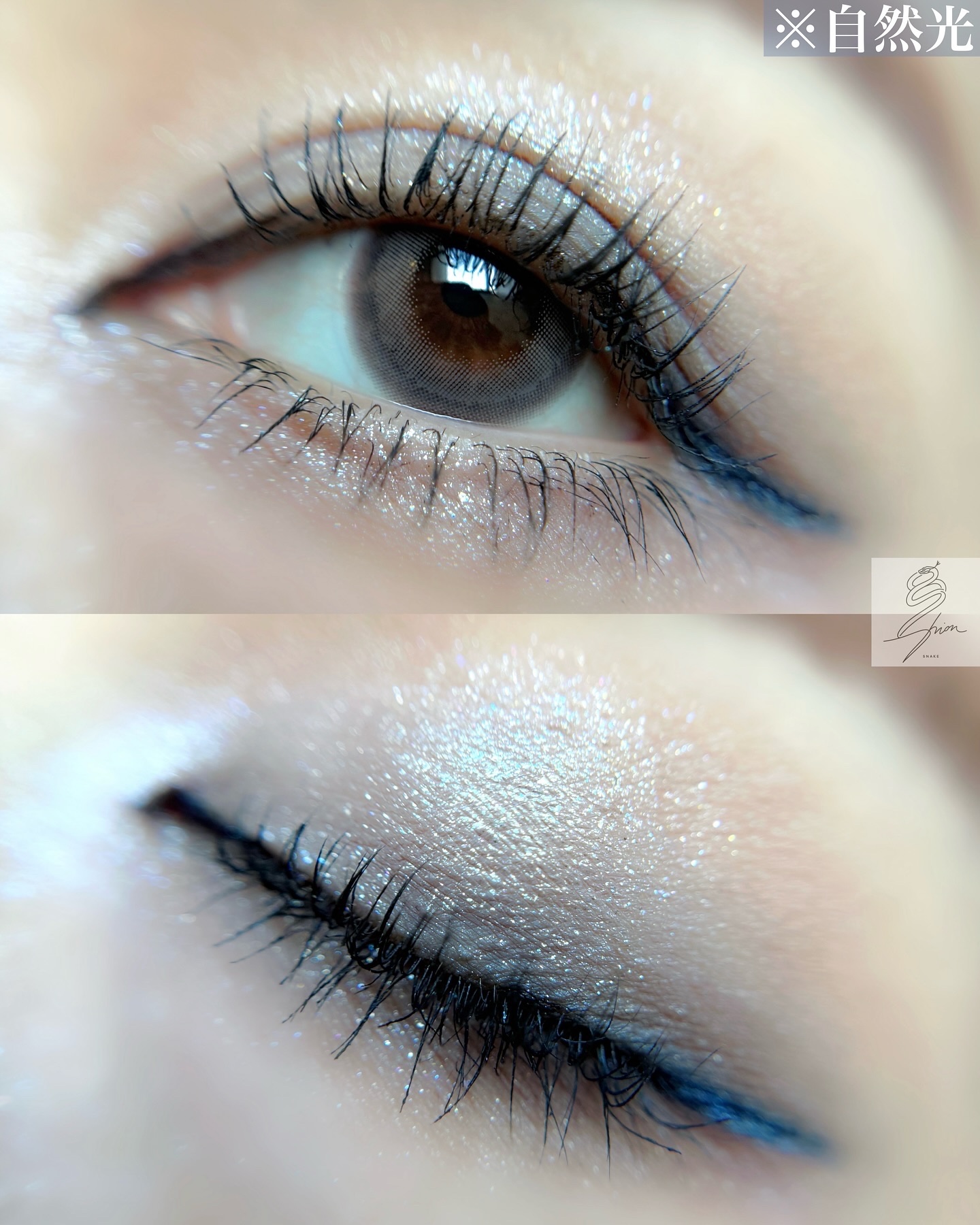 限定アイシャドウパレット】エクスプローラ12色 動物アイシャドウ