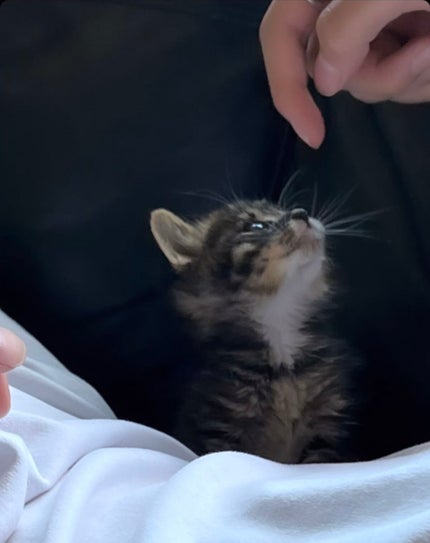 つやぷるリップR/b idol/口紅を使ったクチコミ(4枚目)