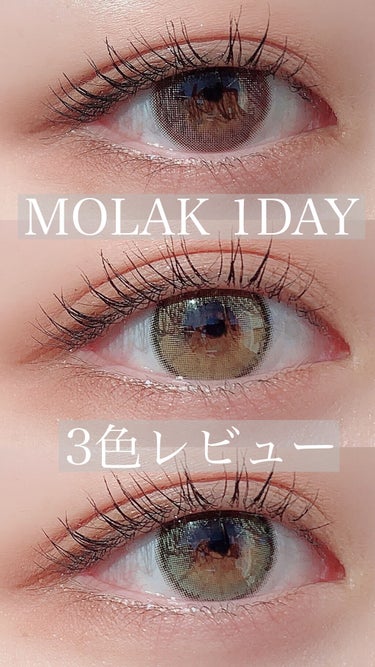 MOLAK 1day/MOLAK/ワンデー（１DAY）カラコンを使ったクチコミ（1枚目）