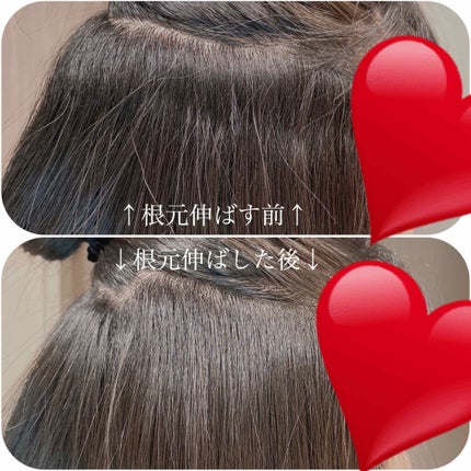 ヘアービューザーエクセレミアム2D Plus プロフェッショナル HBE2D-P/LUMIELINA/ドライヤーを使ったクチコミ(3枚目)