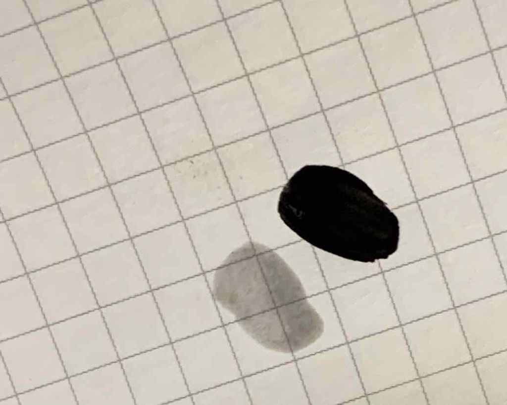 UR GLAM　COLOR NAIL SELECTION/U R GLAM/マニキュアを使ったクチコミ（2枚目）