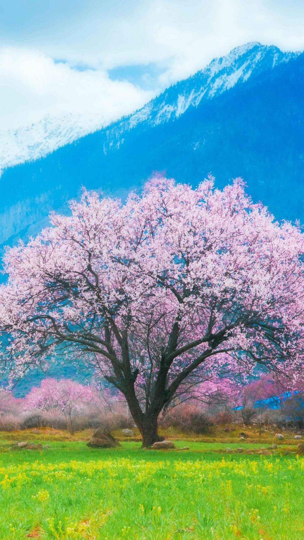 ニベア ディープモイスチャーリップ/ニベア/リップクリームを使ったクチコミ（1枚目）