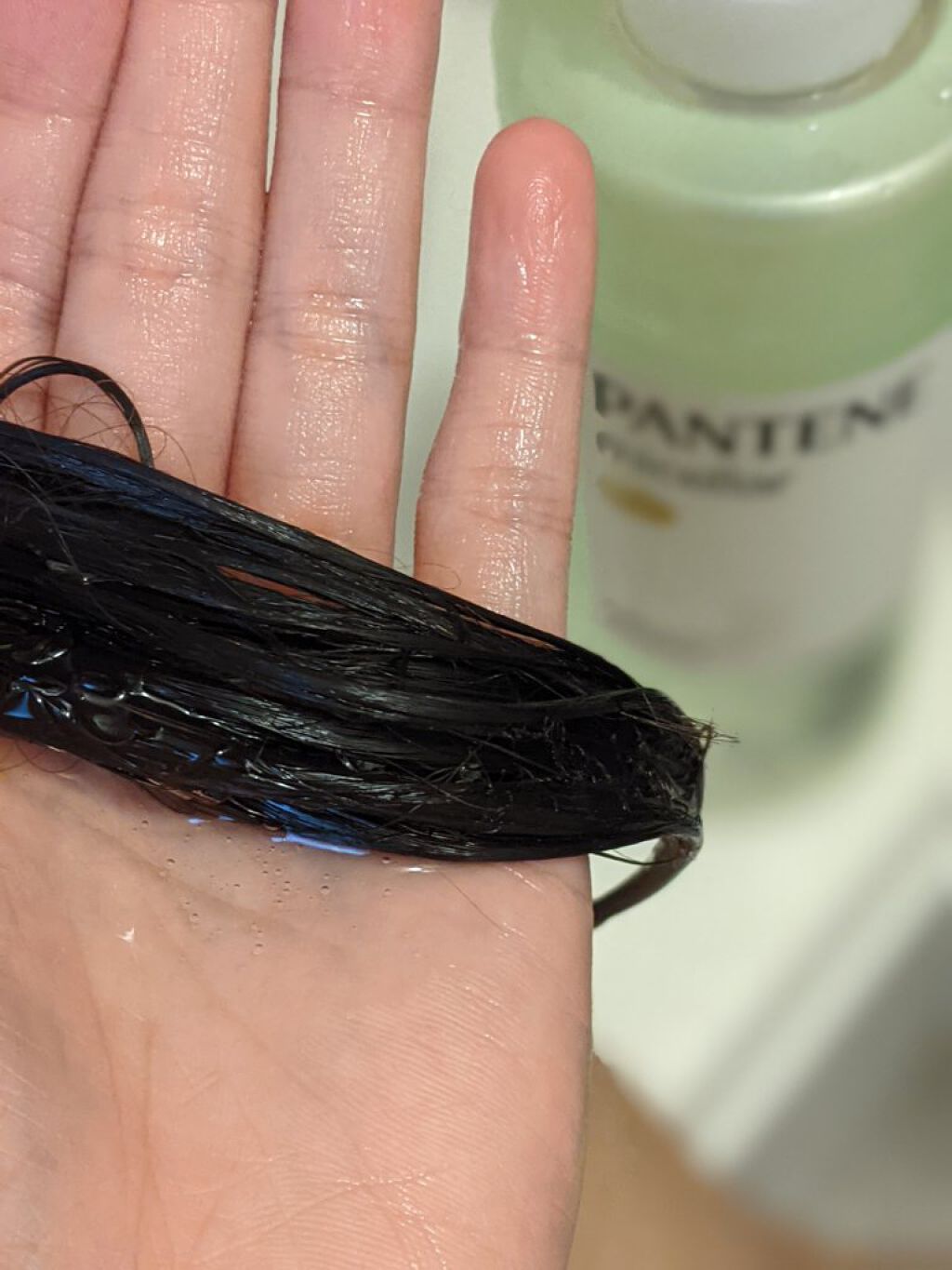 PRO-V ミセラー ピュア＆モイスト ノンシリコンシャンプー/トリートメント/パンテーン/市販シャンプーを使ったクチコミ（2枚目）