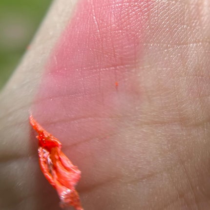 リップティーク/oiad/口紅を使ったクチコミ(5枚目)