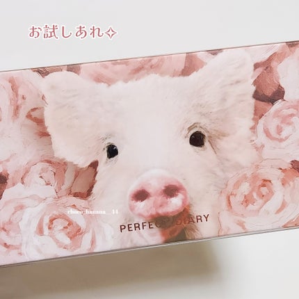 エクスプローラ12色 動物アイシャドウパレット/PERFECT DIARY/アイシャドウパレットを使ったクチコミ(9枚目)