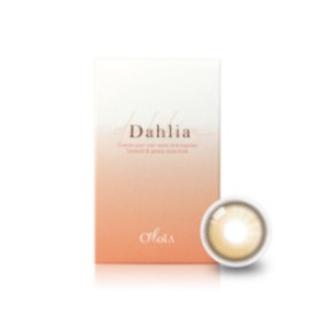 ダリアブラウンマンスリー (DAHLIA BROWN monthly) / OLOLA