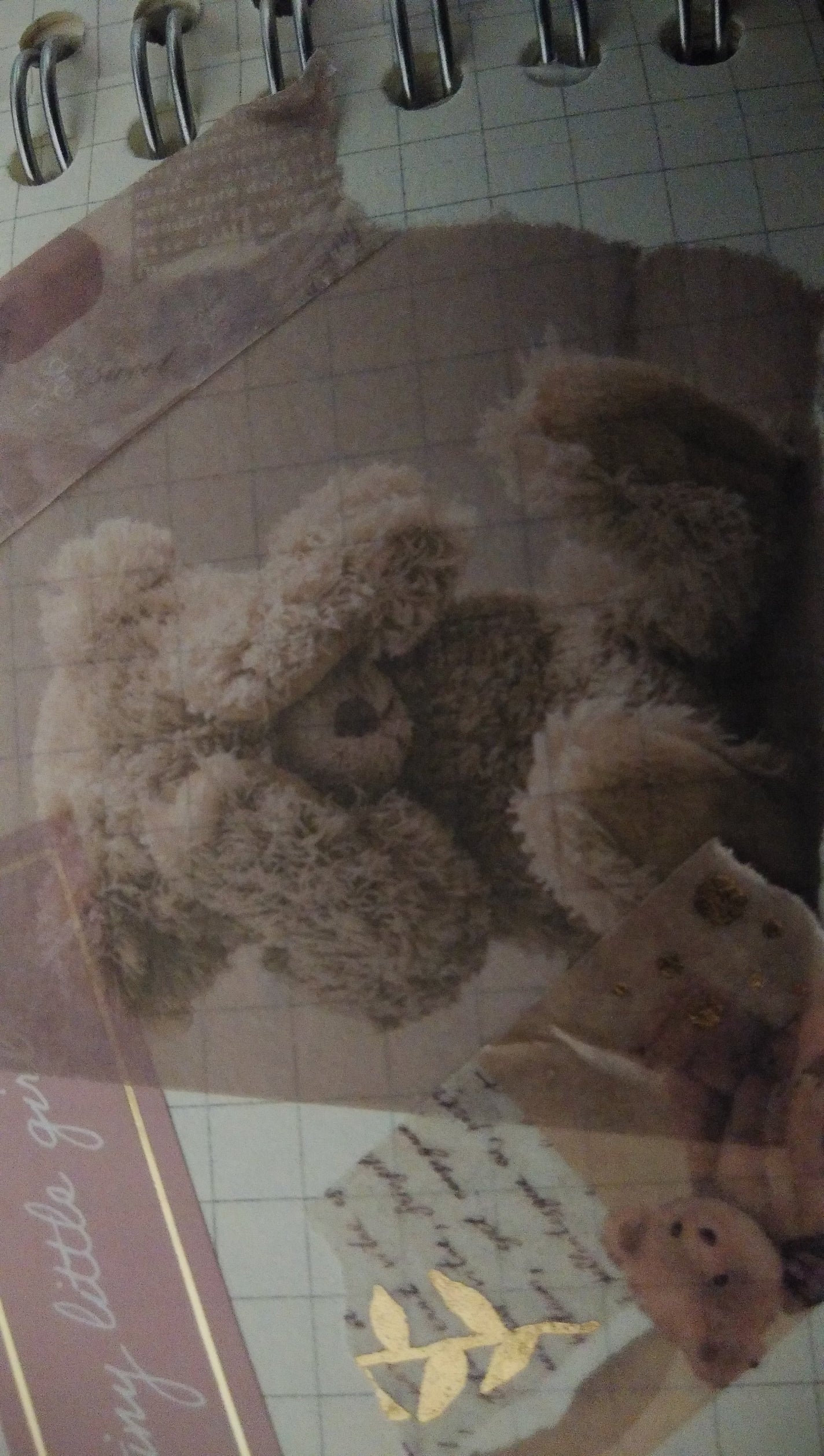 アヒル on LIPS 「メイクもいいけどすっぴんの肌も綺麗にしようね..」(1枚目)