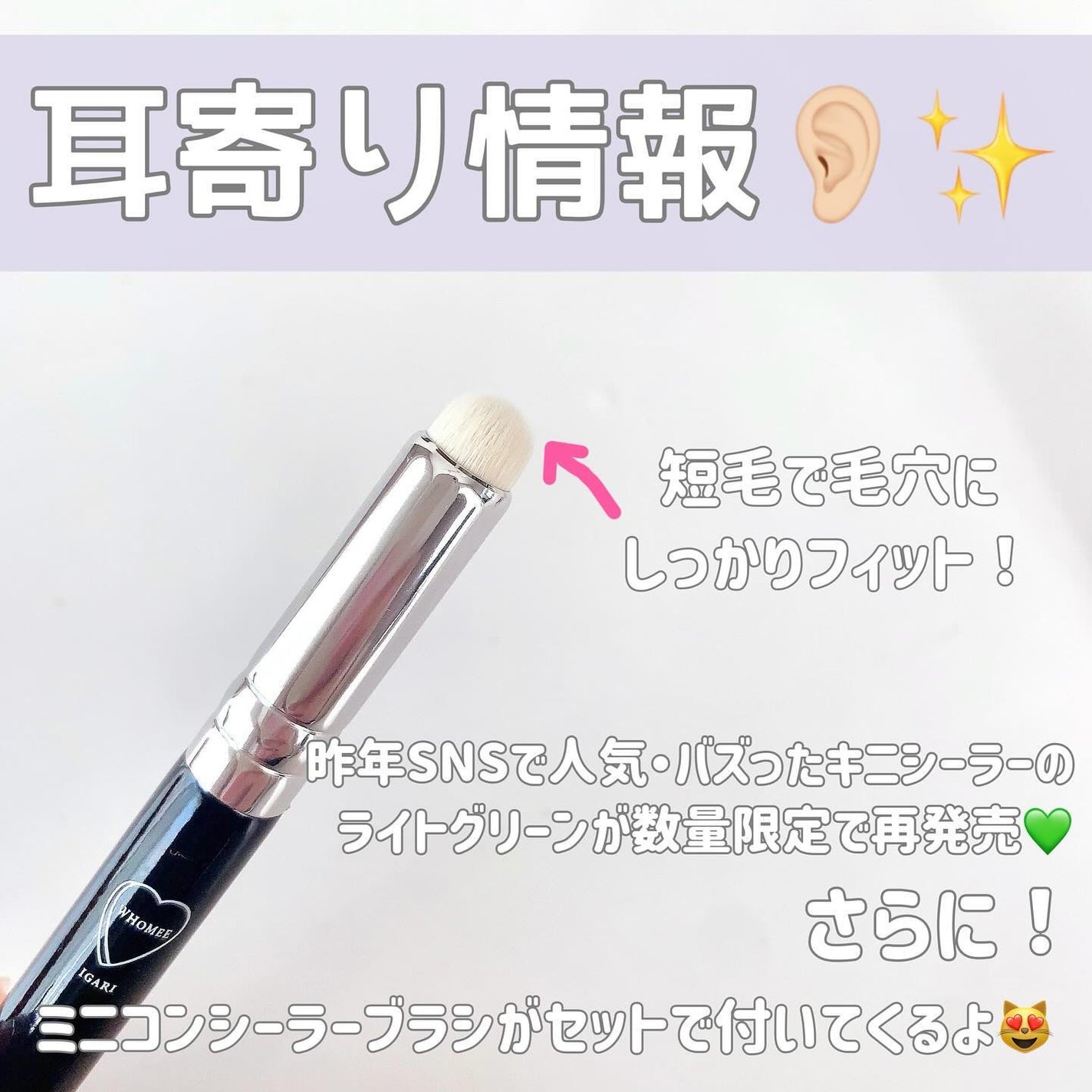 フーミー キニシーラー/WHOMEE/パレットコンシーラーを使ったクチコミ(4枚目)