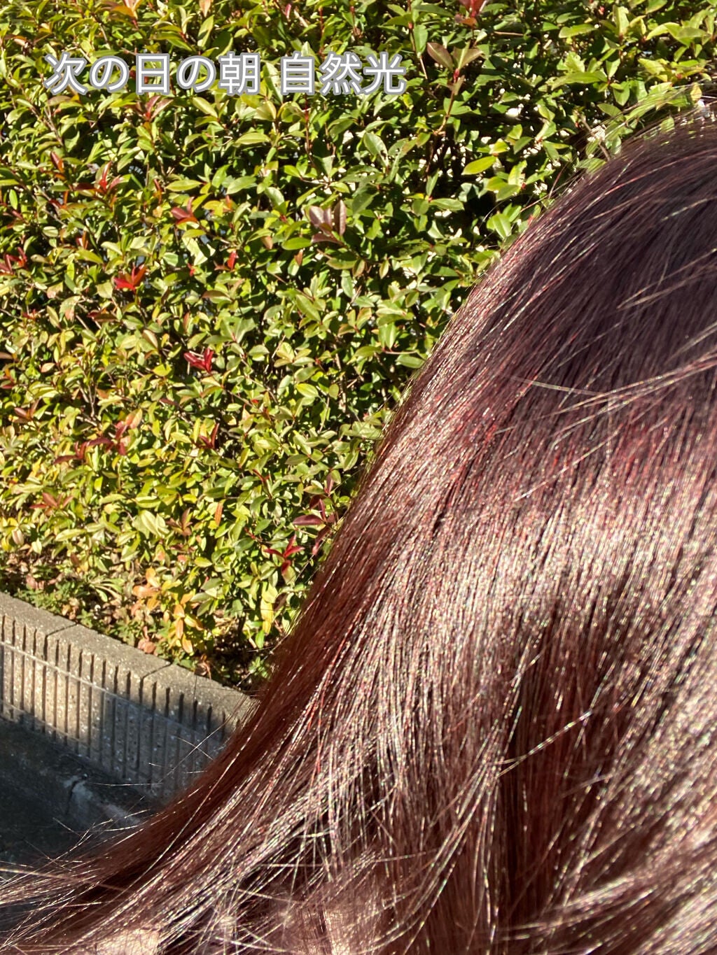 泡カラー/リーゼ/ヘアカラーを使ったクチコミ(4枚目)