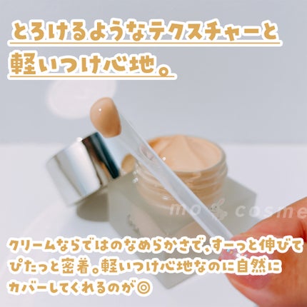 クリーム ファウンデイションe/IPSA/リキッドファンデーションを使ったクチコミ(3枚目)