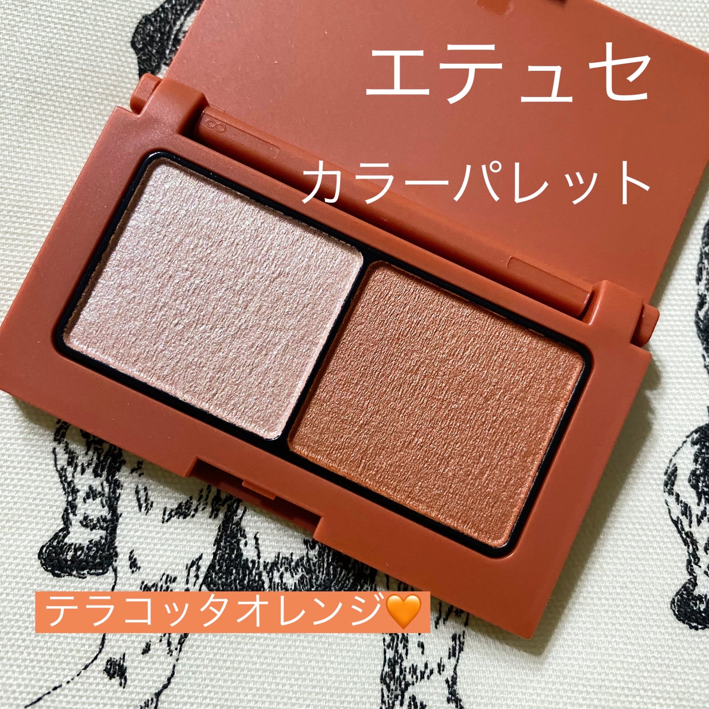 エテュセ アイエディション(カラーパレット)/ettusais/アイシャドウパレットを使ったクチコミ(1枚目)