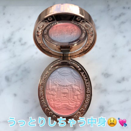 サーカスシリーズ グラデーションブラッシュ /FlowerKnows/パウダーチークを使ったクチコミ(3枚目)