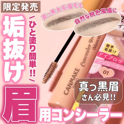 コンシーラーブロウマスカラ/キャンメイク/その他アイブロウを使ったクチコミ(1枚目)