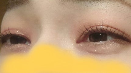 ラズル アイカラー 39 Flamingo copper/エレガンス ラズル /単色アイシャドウを使ったクチコミ(3枚目)