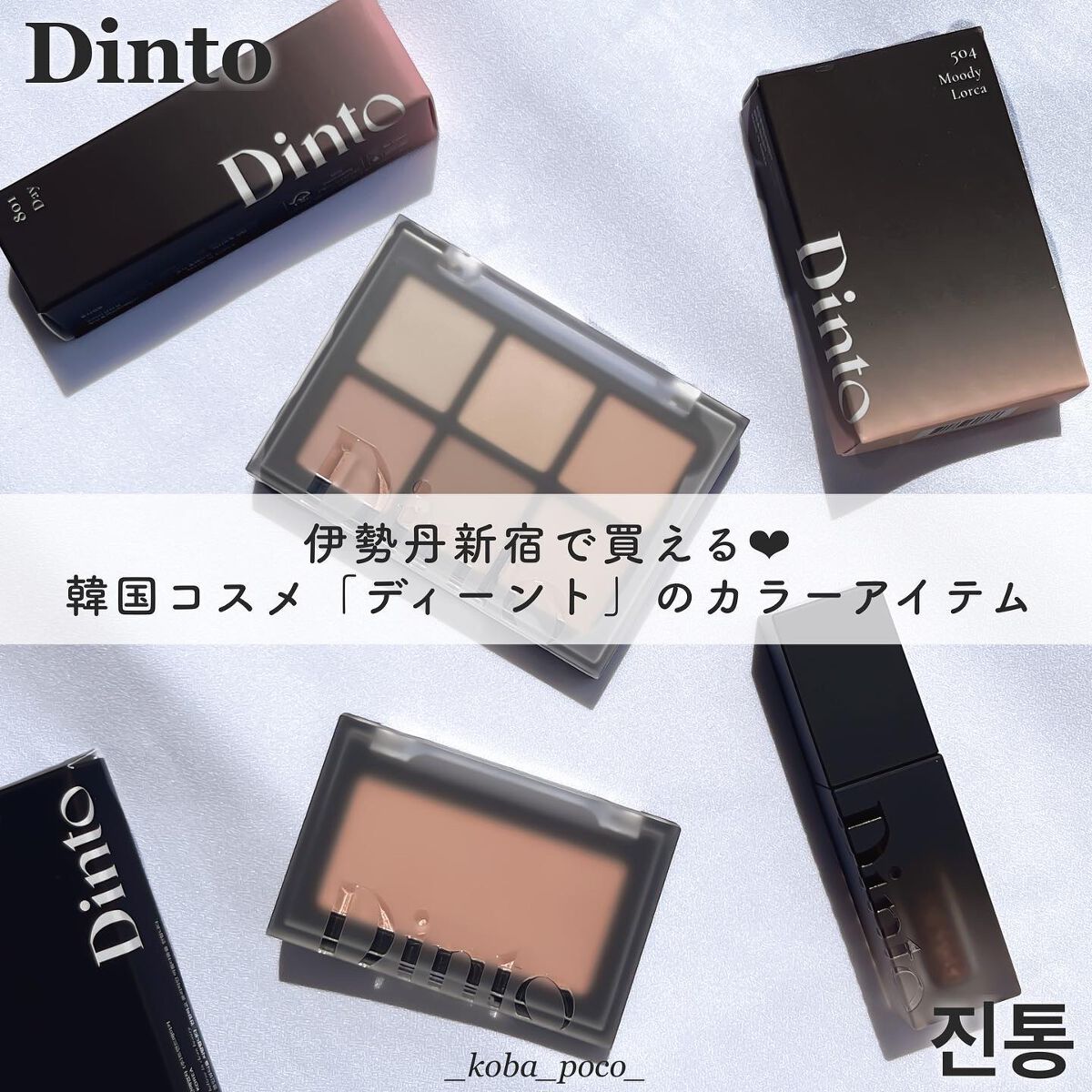ブラーフィニシュシャドウパレット/Dinto/アイシャドウパレットを使ったクチコミ（1枚目）