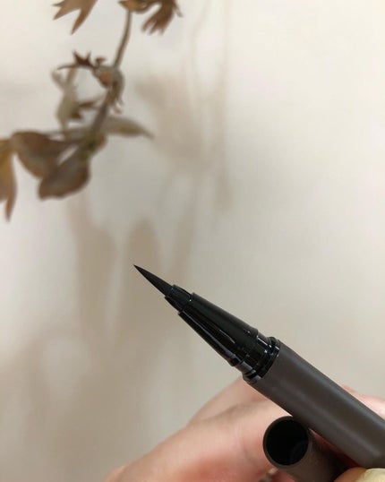 エーメイク マットリキッドアイライナー /A/mAke/リキッドアイライナーを使ったクチコミ(5枚目)