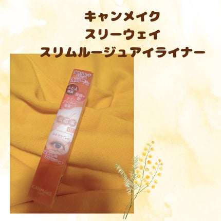 3wayスリムアイルージュライナー 02 シアーオレンジ/キャンメイク/リキッドアイライナーの画像