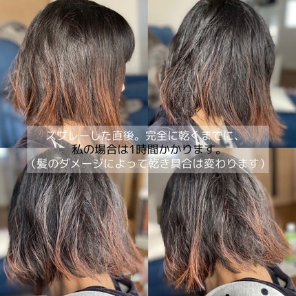 ハイドロミストN/plus eau/アウトバストリートメントを使ったクチコミ(3枚目)