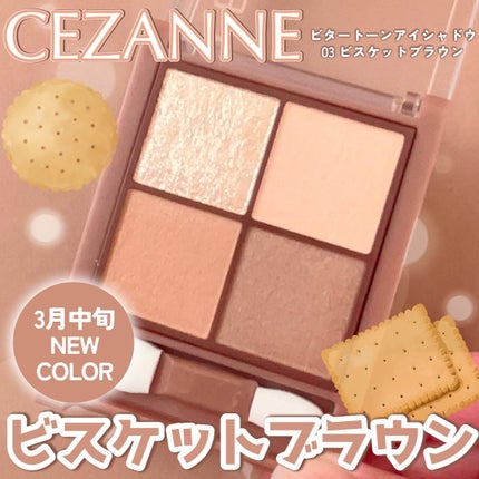 ビタートーンアイシャドウ/CEZANNE/パウダーアイシャドウを使ったクチコミ(1枚目)