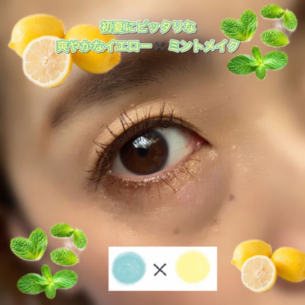 ミックスブラッシュ コンパクト N/JILL STUART/パウダーチークを使ったクチコミ(4枚目)