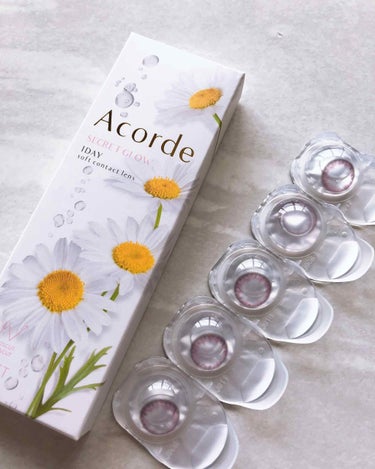 Acorde（アコルデ） フォーチュンピンク(シークレットグロウ)数量限定/Acorde/カラーコンタクトレンズを使ったクチコミ（2枚目）