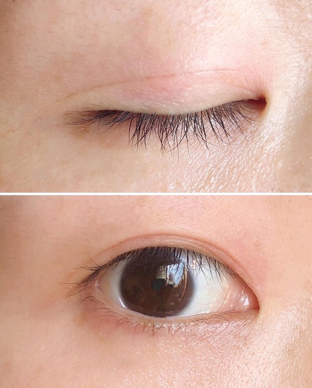 TWOOL ダブルアイリッドグルー/SHOBIDO/二重まぶた用アイテムを使ったクチコミ(6枚目)