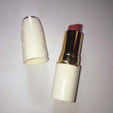 ラスティング リップカラーN/CEZANNE/口紅を使ったクチコミ(1枚目)