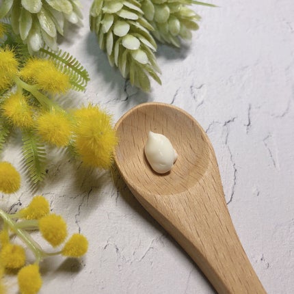 オリーブハンドクリーム/DHC/ハンドクリームを使ったクチコミ(2枚目)