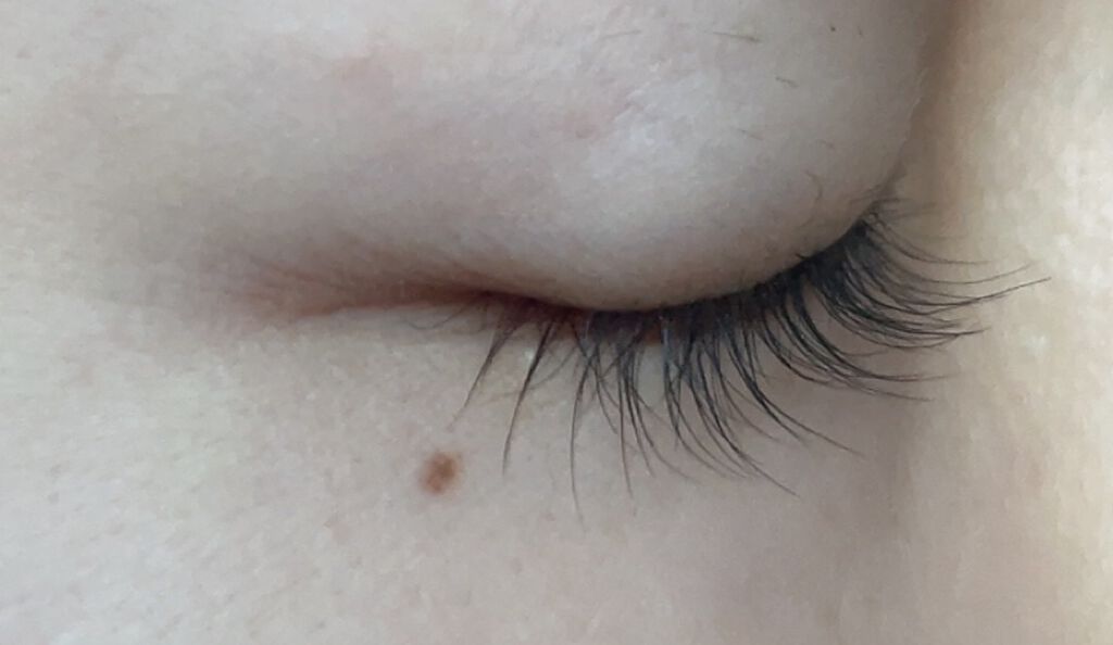 ミニホットアイラッシュカーラー/ニトリ/ホットビューラーを使ったクチコミ(7枚目)