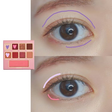 シナモン ベア メイクアップ コレクション/Too Faced/パウダーアイシャドウを使ったクチコミ（2枚目）