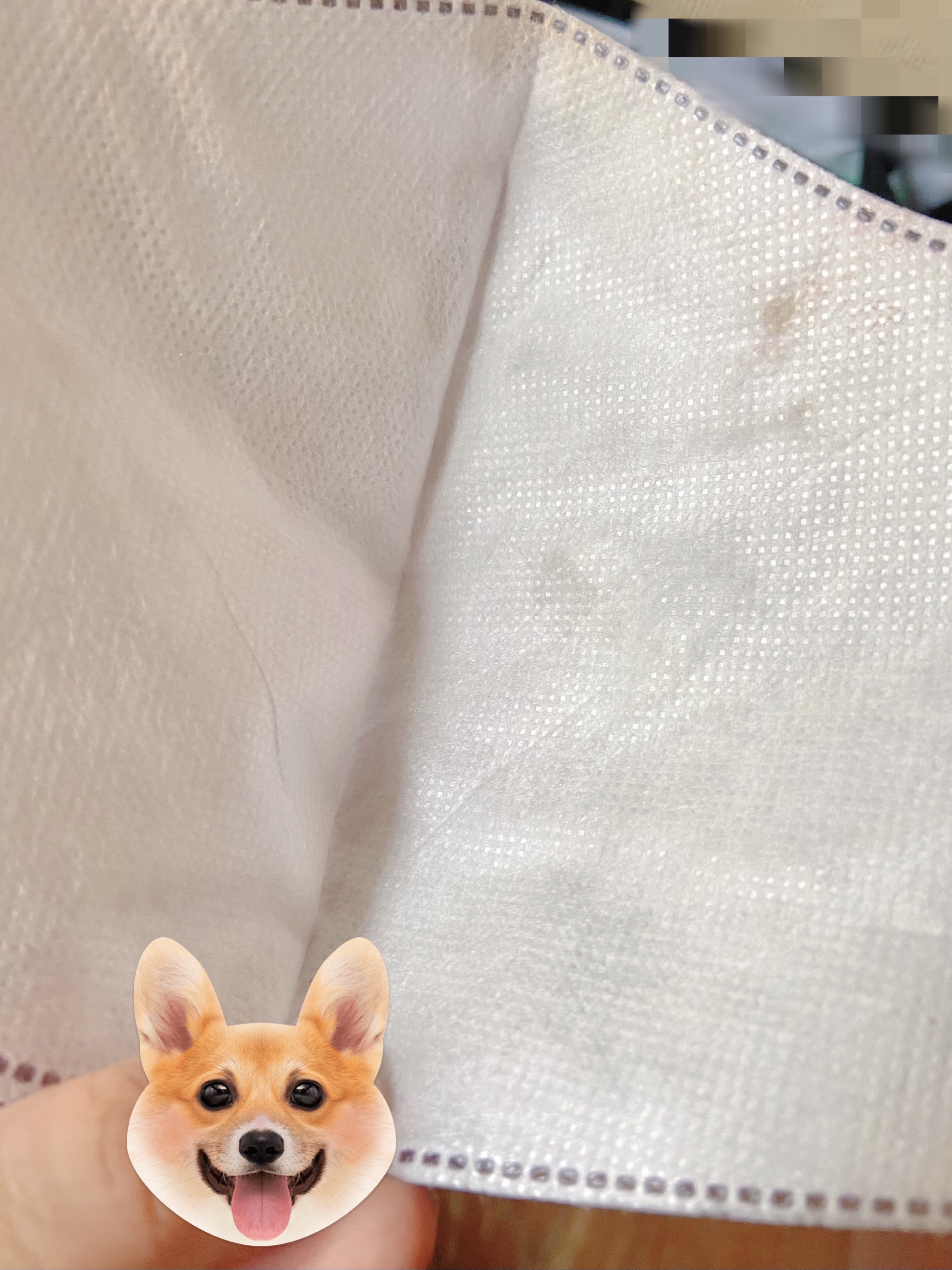 ヌードマットブラッシャー/CathyDoll/パウダーチークを使ったクチコミ（2枚目）