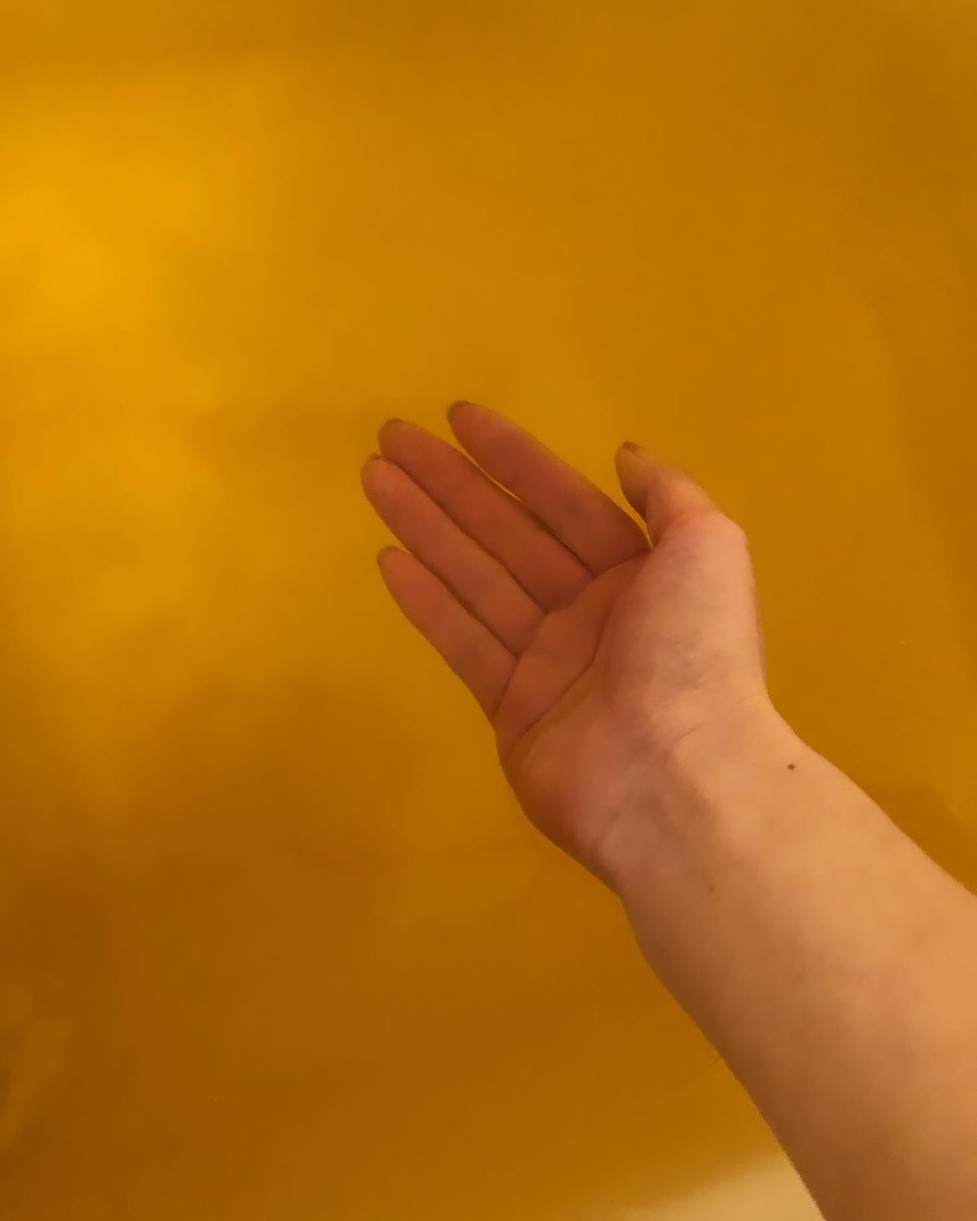 薬用入浴剤 エプロ メディカルスパ/epro/生薬系入浴剤を使ったクチコミ(5枚目)