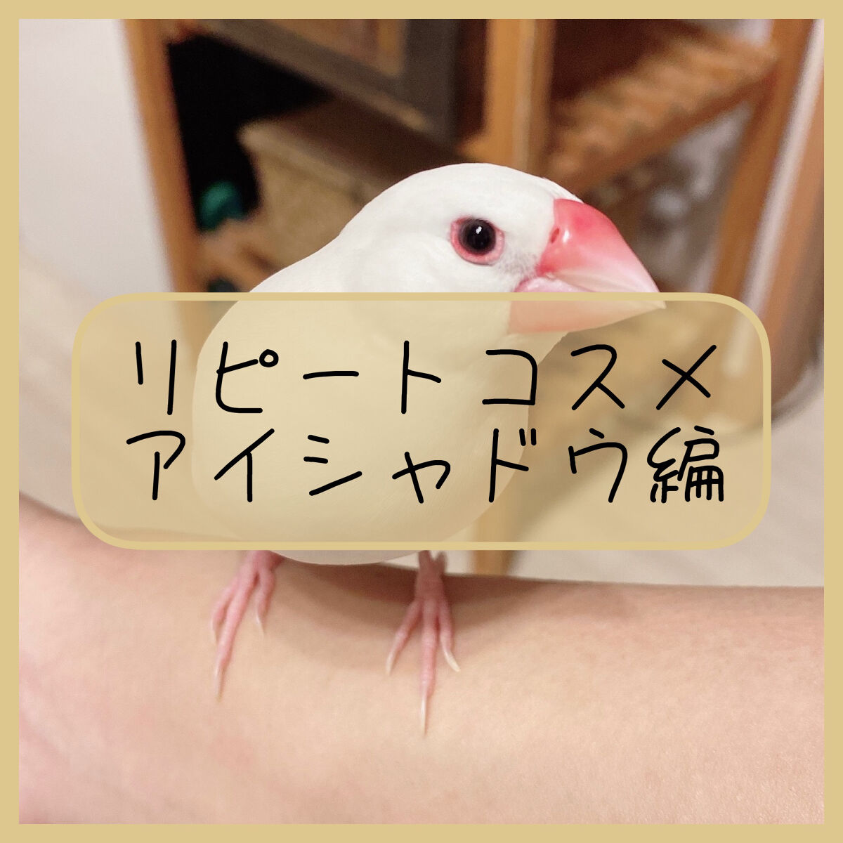 ヴィセ アヴァン シングルアイカラー 020 BITTER CACAO/Visée/単色アイシャドウを使ったクチコミ（1枚目）