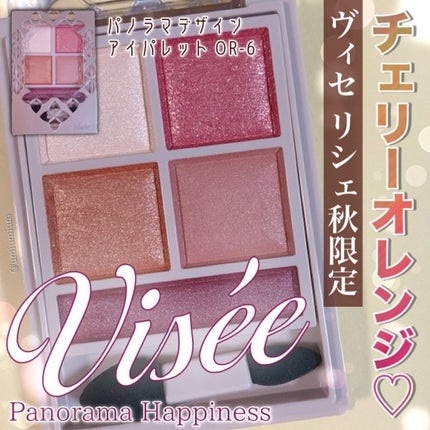 パノラマデザイン アイパレット/Visée/アイシャドウパレットを使ったクチコミ(1枚目)
