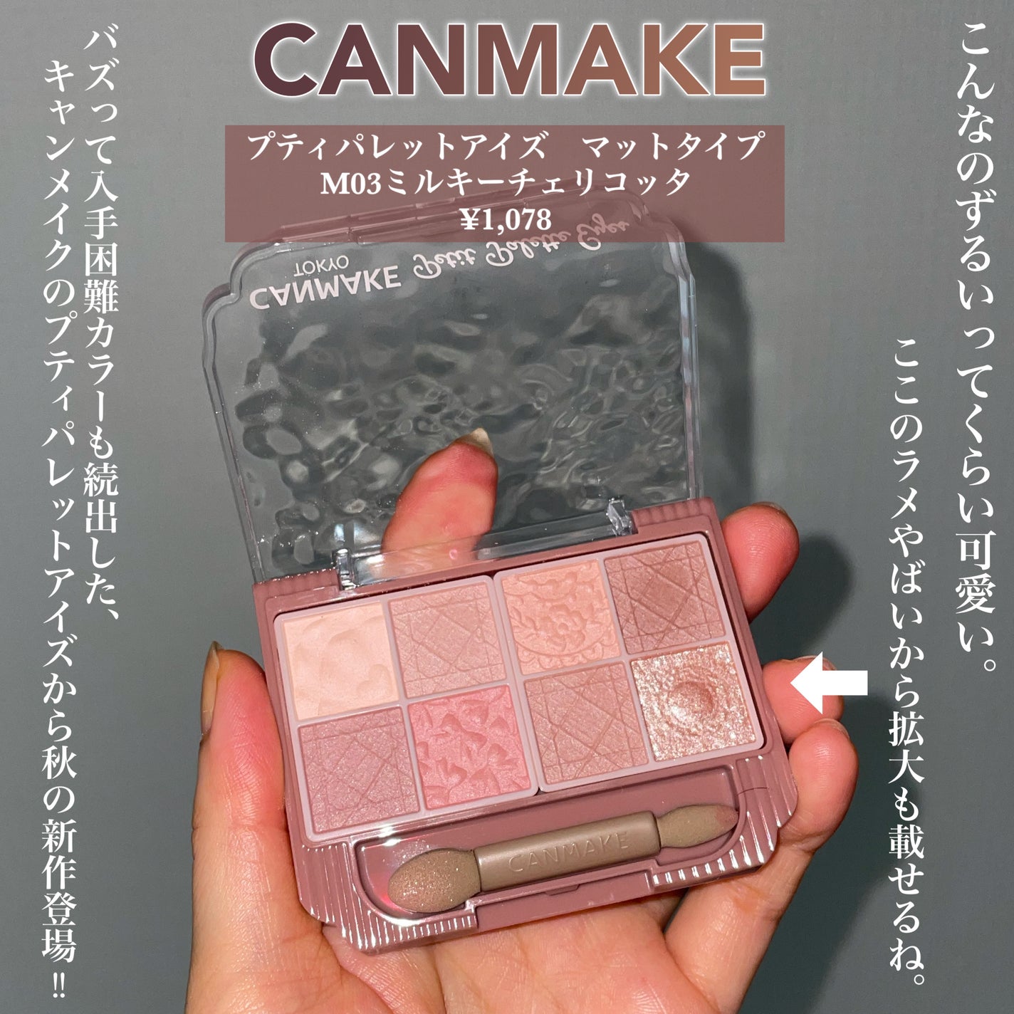 プティパレットアイズ(マットタイプ)/キャンメイク/パウダーアイシャドウを使ったクチコミ(3枚目)