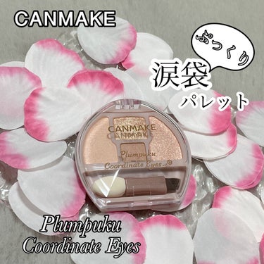 CANMAKE
プランぷくコーデアイズ(限定)
01 アプリコットプランぷく
ナチュラルな印象になるコーラルカラー✨

発売前から話題になっていたので、楽しみにしていた
涙袋専用シャドウ💖

マット・パ