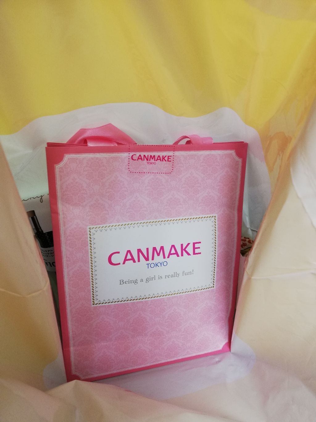 福袋 2019/キャンメイク/メイクアップキットを使ったクチコミ(1枚目)