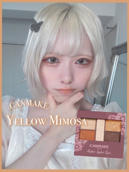 ダイヤモンドシリーズ 星空リキッドアイシャドウ/ZEESEA/リキッドアイシャドウを使ったクチコミ(1枚目)