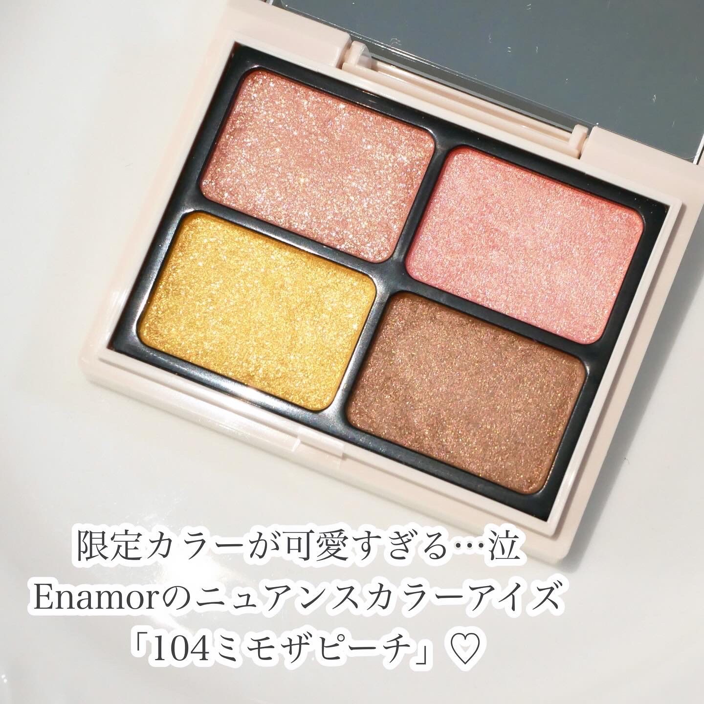 ニュアンスカラーアイズ/Enamor/アイシャドウパレットを使ったクチコミ（2枚目）