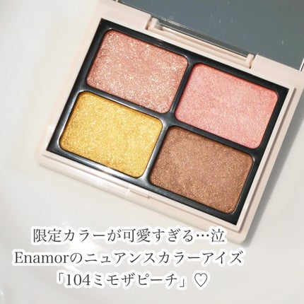 ニュアンスカラーアイズ/Enamor/アイシャドウパレットを使ったクチコミ(2枚目)