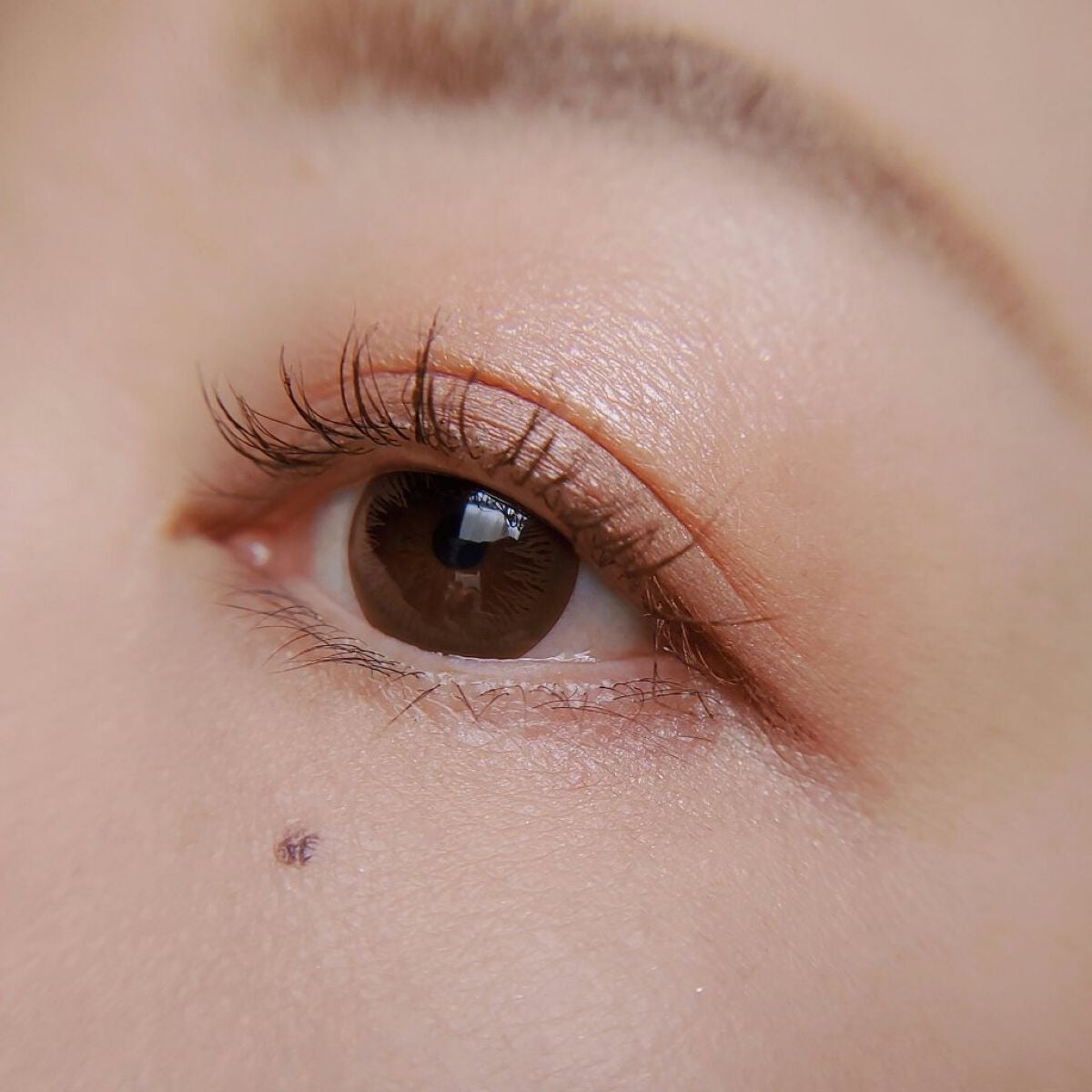 ニュアンスオンアイシャドウ/CEZANNE/アイシャドウパレットを使ったクチコミ(4枚目)