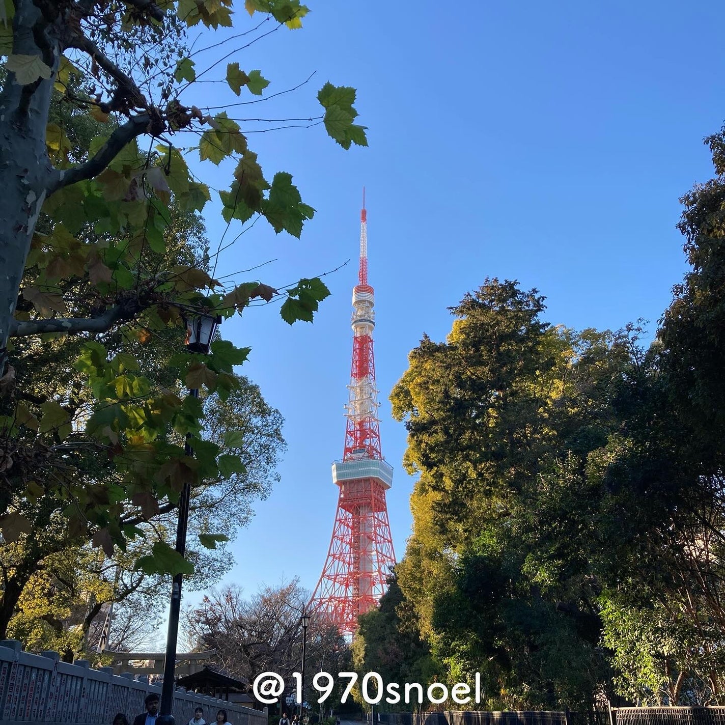 きき湯 食塩炭酸湯/きき湯/炭酸系入浴剤を使ったクチコミ(2枚目)