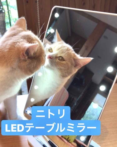 LEDライトミラー (AS-0678)/ニトリ/その他化粧小物を使ったクチコミ（1枚目）