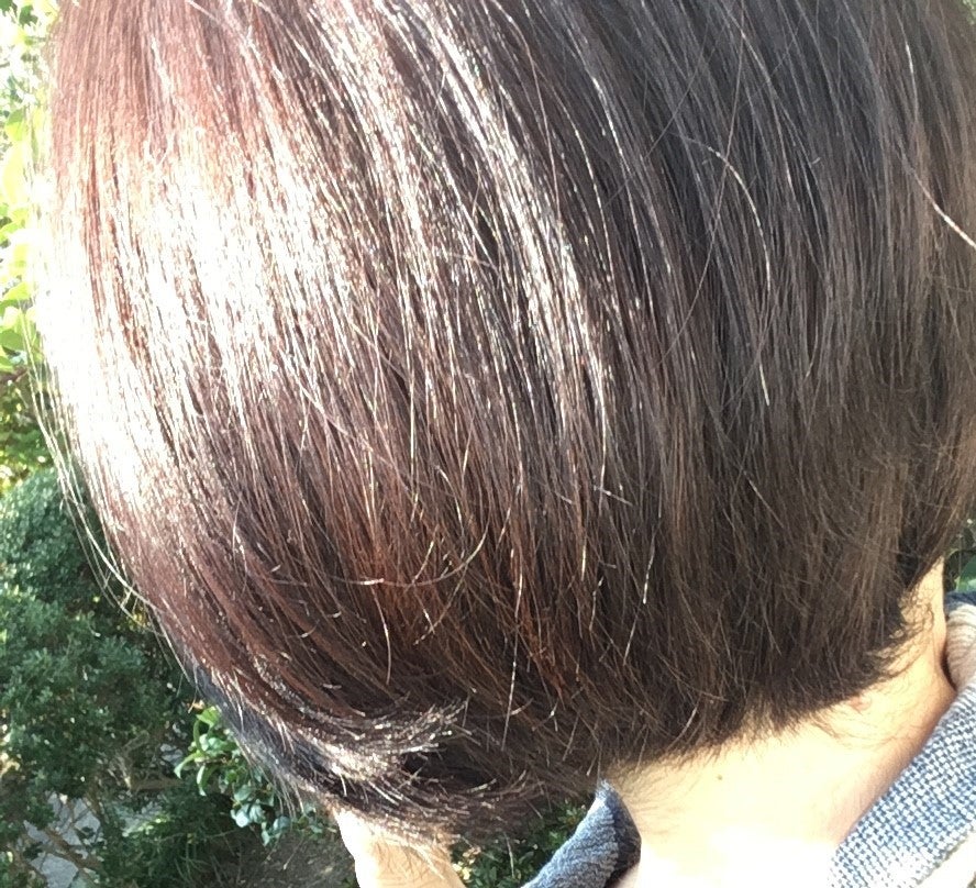 シャンプー/コンディショナー うねる髪もまとまる/セグレタ/市販シャンプーを使ったクチコミ(9枚目)